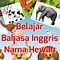 Nama Hewan Dalam Bahasa Inggris Yang Lucu